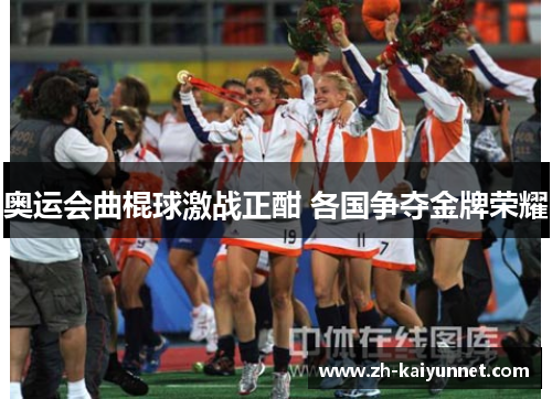 奥运会曲棍球激战正酣 各国争夺金牌荣耀 奥运会曲棍球激战正酣 各国争夺金牌荣耀